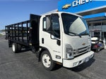 2024 Chevrolet Low Cab Forward 4500 NA