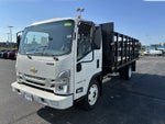 2024 Chevrolet Low Cab Forward 4500 NA